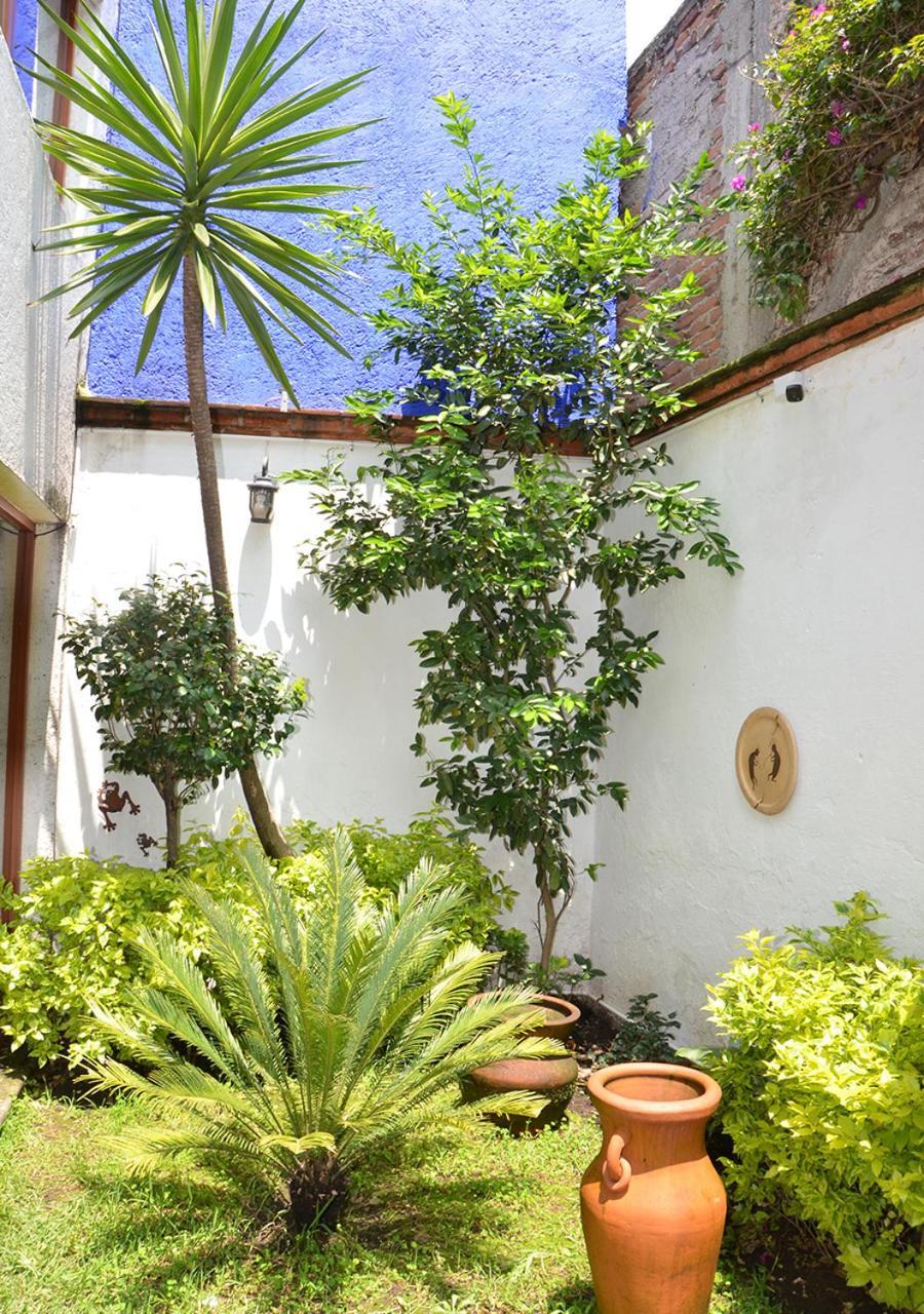 Casa Coyoacan Mexico by Eksteriør bilde