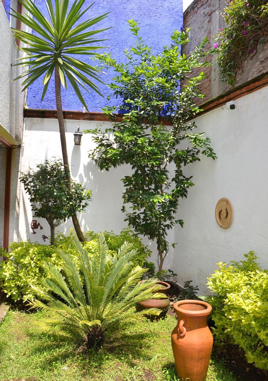 Casa Coyoacan Mexico by Eksteriør bilde